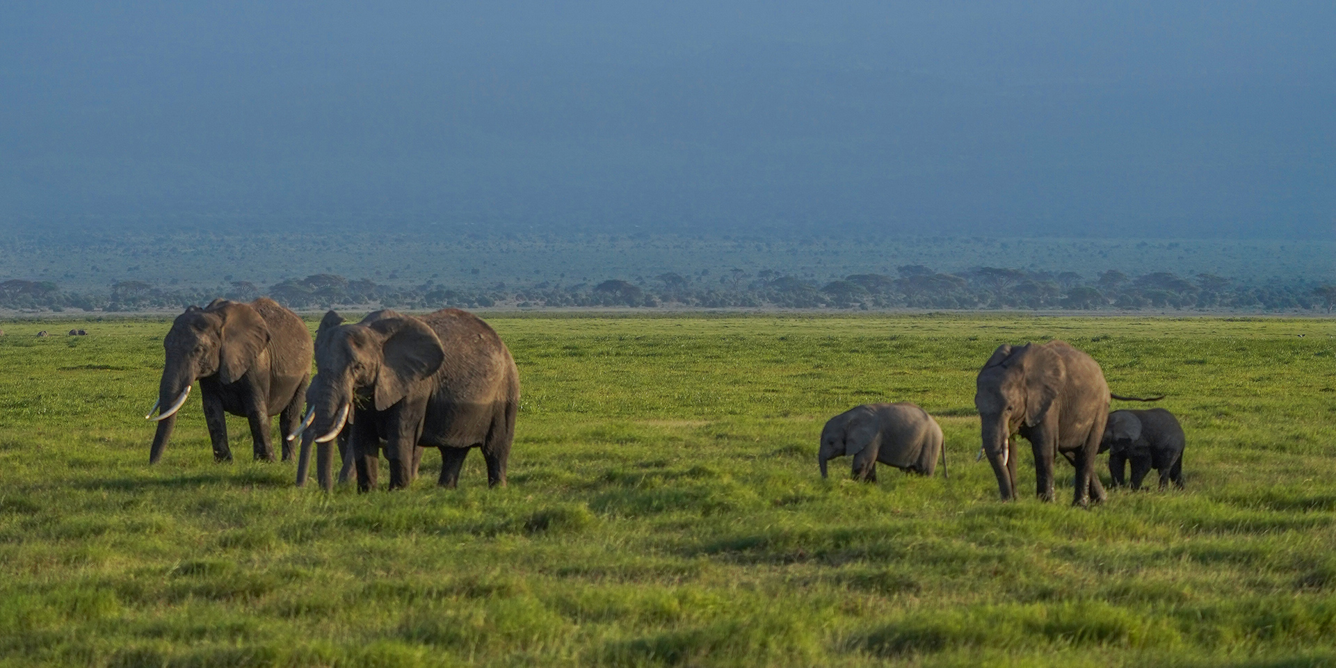 © Tortilis Camp Amboseli, Kenya by Valentin Lavis